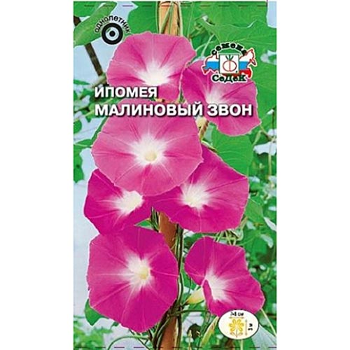

Ипомея Малиновый звон, семена