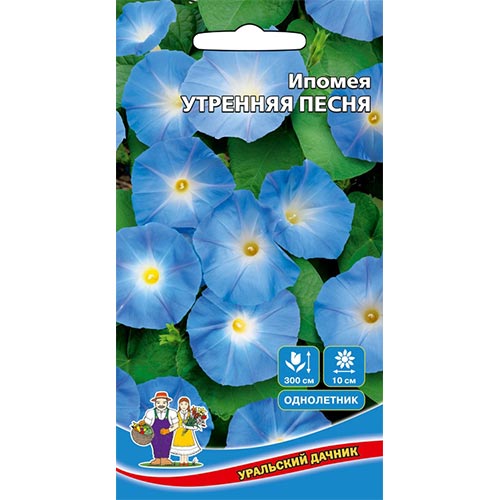 

Ипомея Утренняя песня, семена