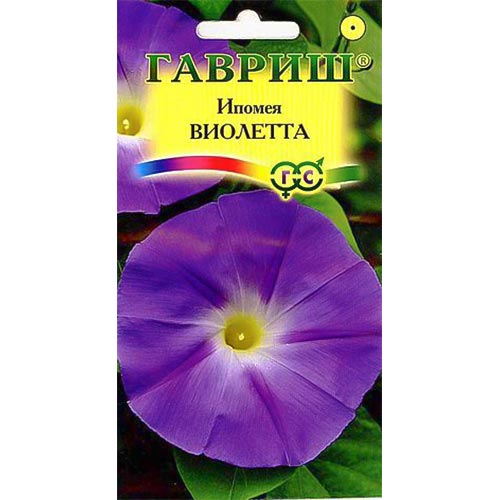 

Ипомея Виолетта, семена